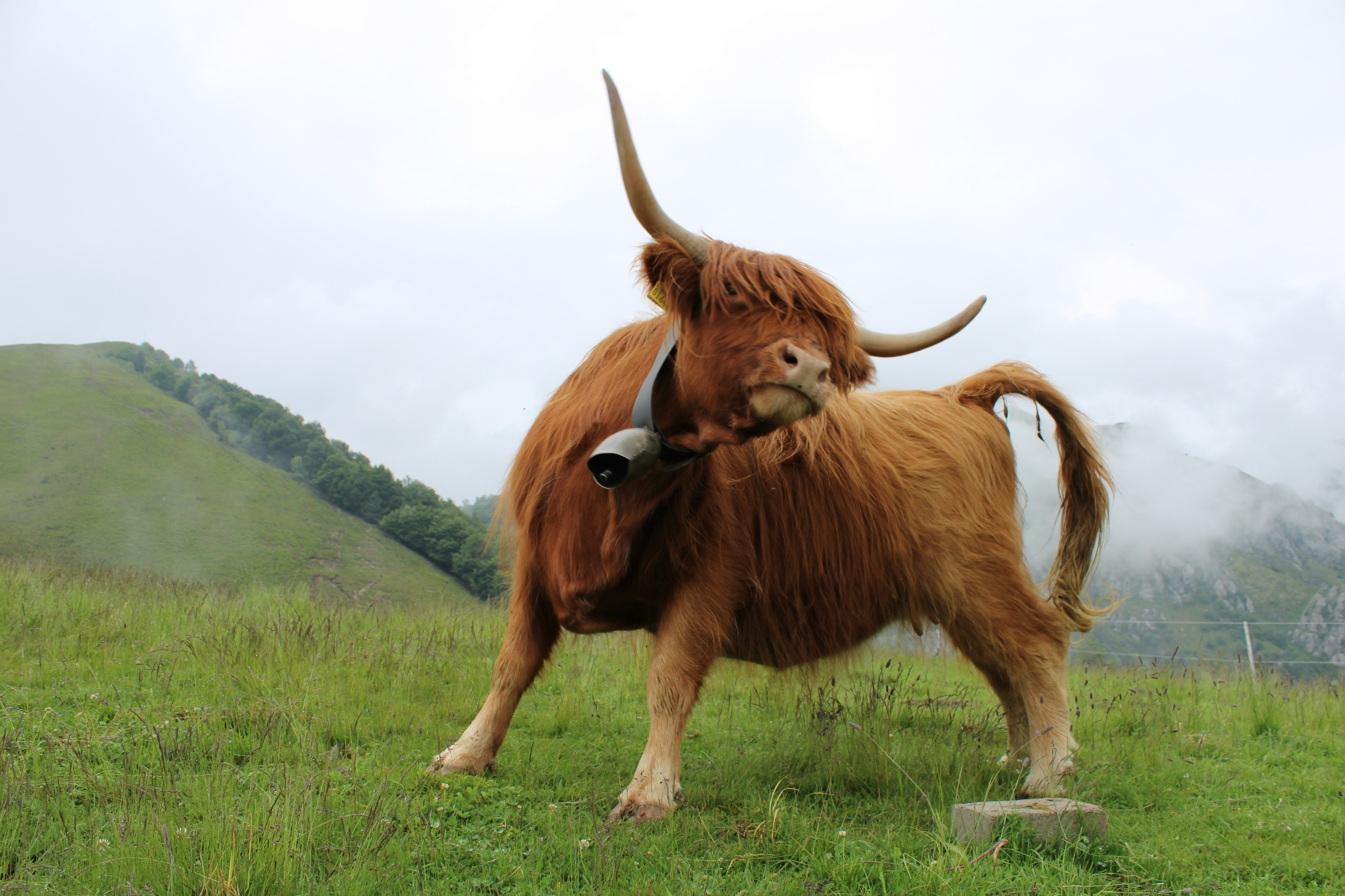 Bull Market Secrets: The Growth Metrics Smart Investors Are Watching Now