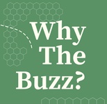 Why The Buzz