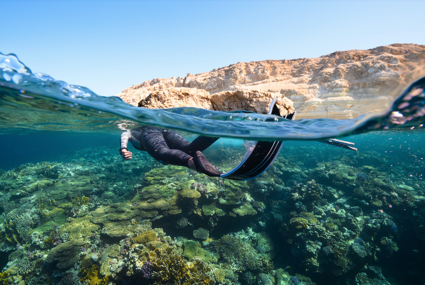 Understanding Indexed Universal Life Insurance: A Deep Dive